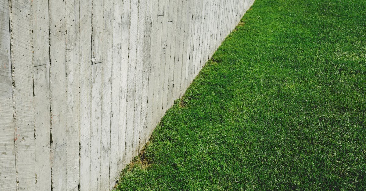 Beton kontra drewno: które ogrodzenie naprawdę się opłaca? Porównanie kosztów, trwałości i estetyki