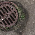Francuski czy grecki? Wielkie porównanie drenaży – sprawdź, który uratuje Twój ogród przed podtopieniem