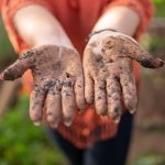 Żywa gleba z kuchennych resztek: zrównoważone metody bioaktywnego kompostowania, które działają